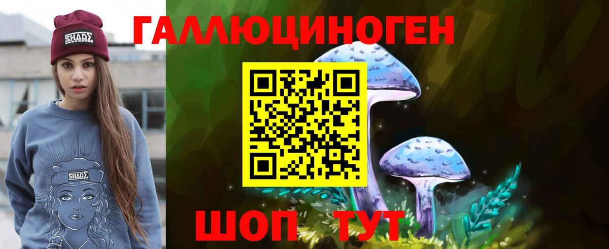 Богданович  Псилоцибиновые грибы прущие грибы  Вход с VPN 